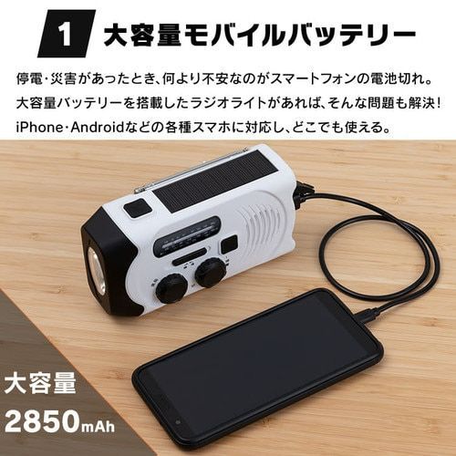 小型