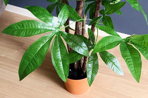 送料無料人工観葉植物「パキラ」フェイクグリーン 造花植物 人工植物