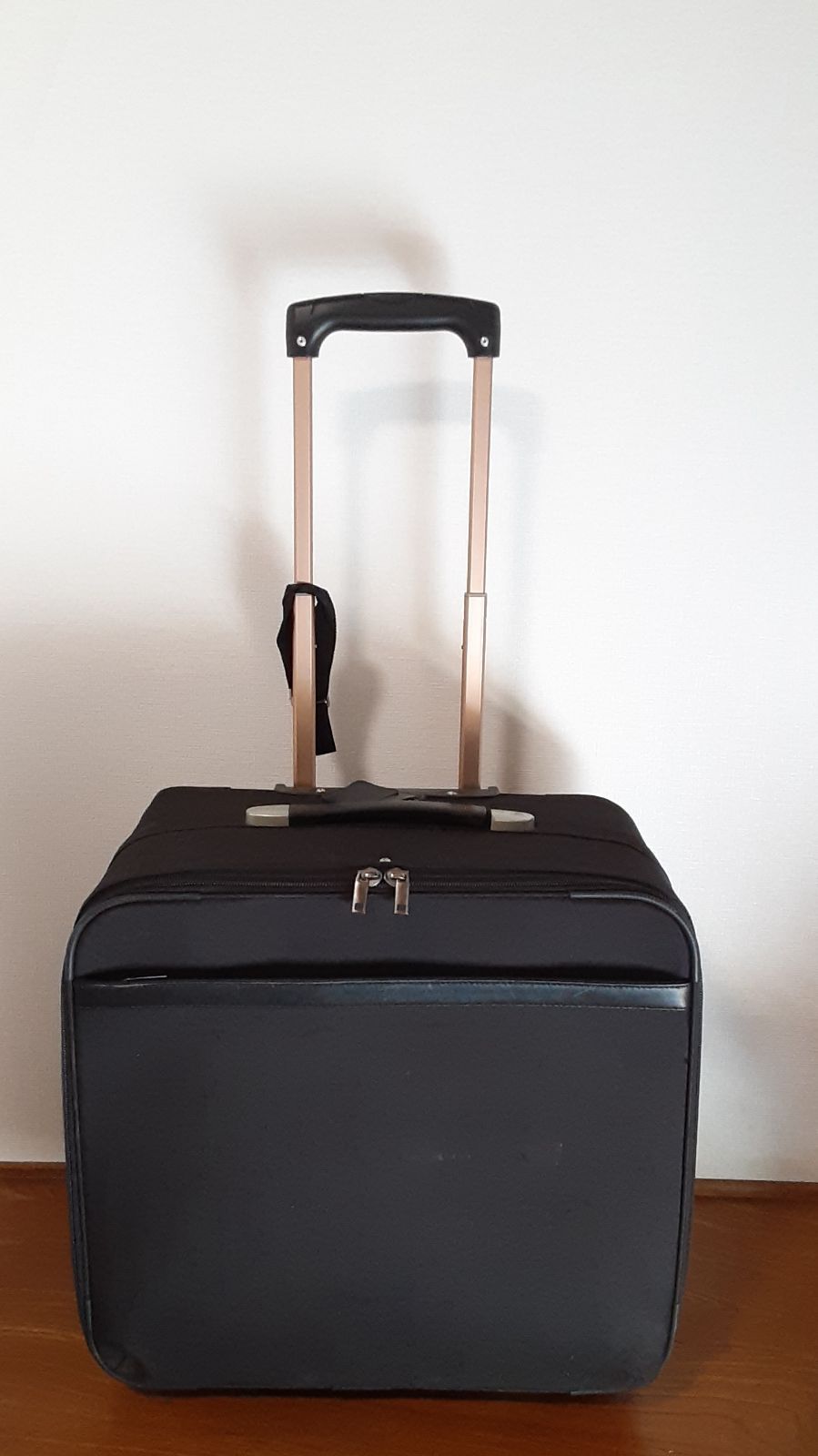 ❖剣道 防具袋 キャスター付き キャリーバック❖