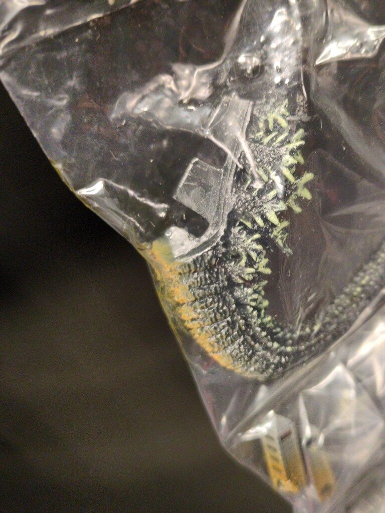 バンダイ ゴジラ全集3rd ノーマル7種セット