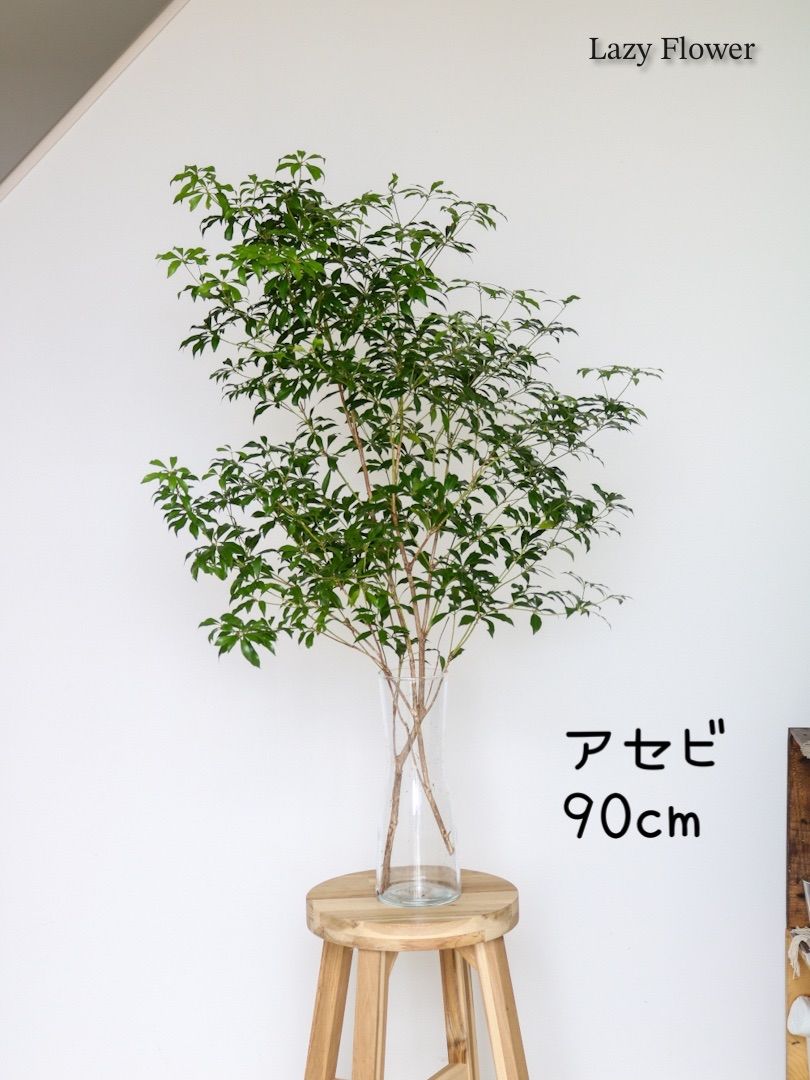 最安値 送料込み アセビ 90cm 2本 枝物 インテリア 装飾 お手入れいらず 観葉植物 生花 映える枝 大人気 北欧 ナチュラル シンプル  マイホーム 店舗装飾 - メルカリ