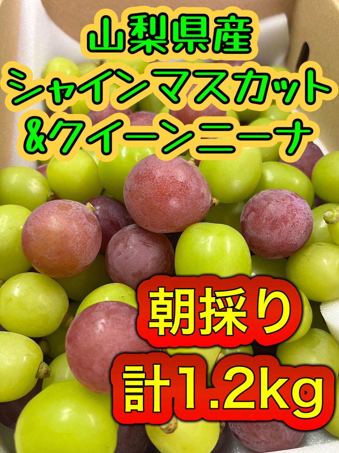 シャインマスカット、クイーンニーナ2色バラ詰め1.2kg - 通販 ... 山梨県産シャインマスカット バラ切り落とし2kg