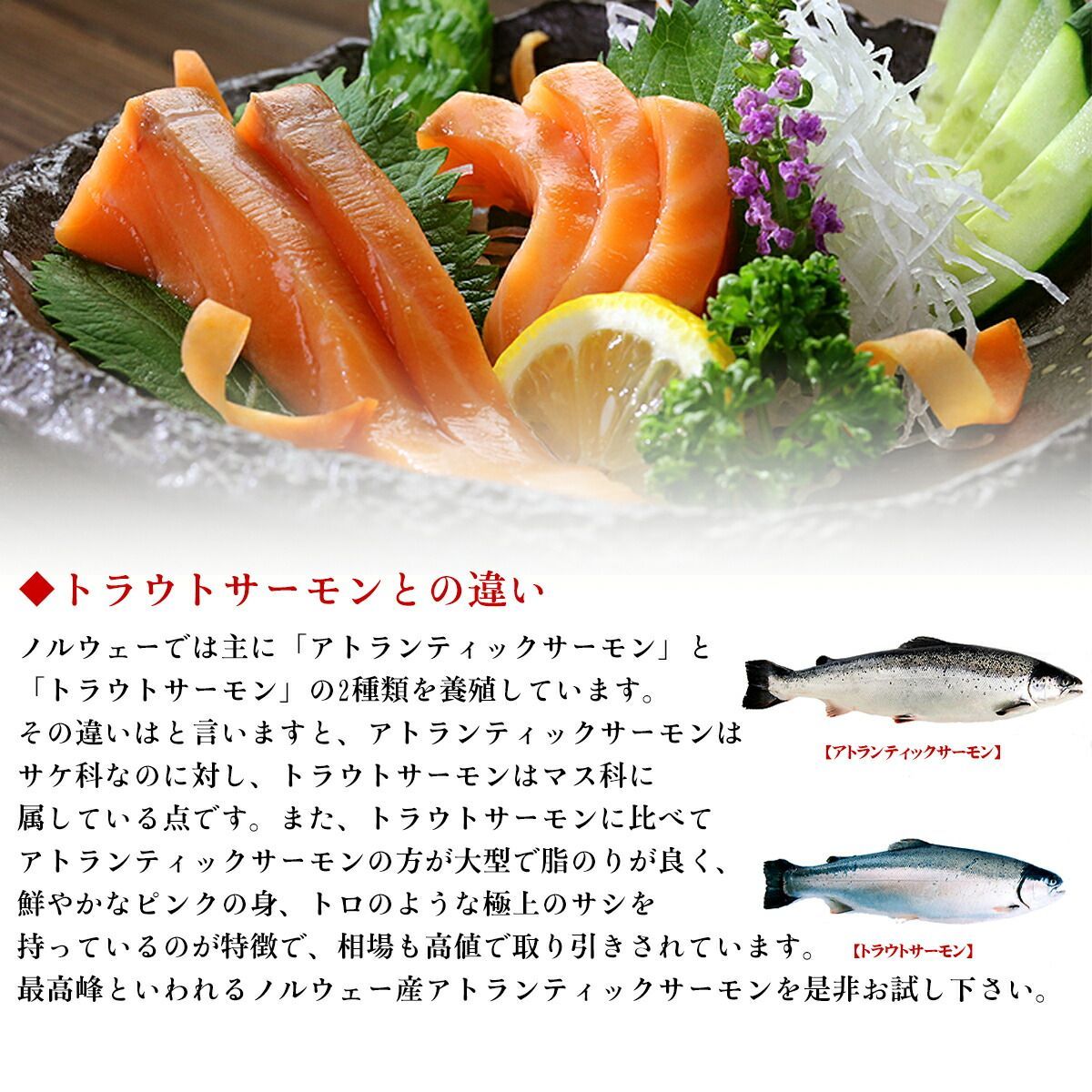 【訳あり】🍣アトランティックサーモン 🐟 ハラス 切り落とし たっぷり500g サーモン ノルウェー産 サイズ不揃い 生食可 お刺身 大トロ【甲羅組】