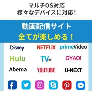 60Wの給電に対応バージョン