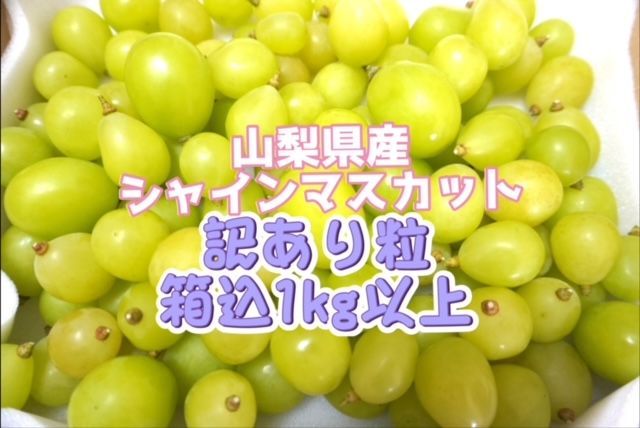 0️⃣ 山梨県産シャインマスカット 【訳あり品】 箱込み4キロ 0️⃣ 山梨県産シャインマスカット 【訳あり品】 箱込み4キロ