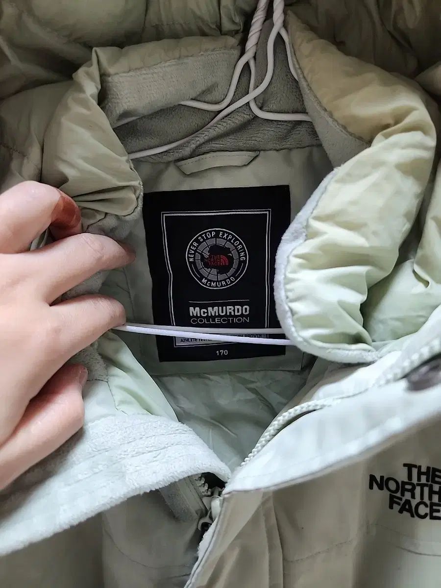 THE NORTH FACE ザノースフェイス マクマード ダウン 170 ライトグリーン