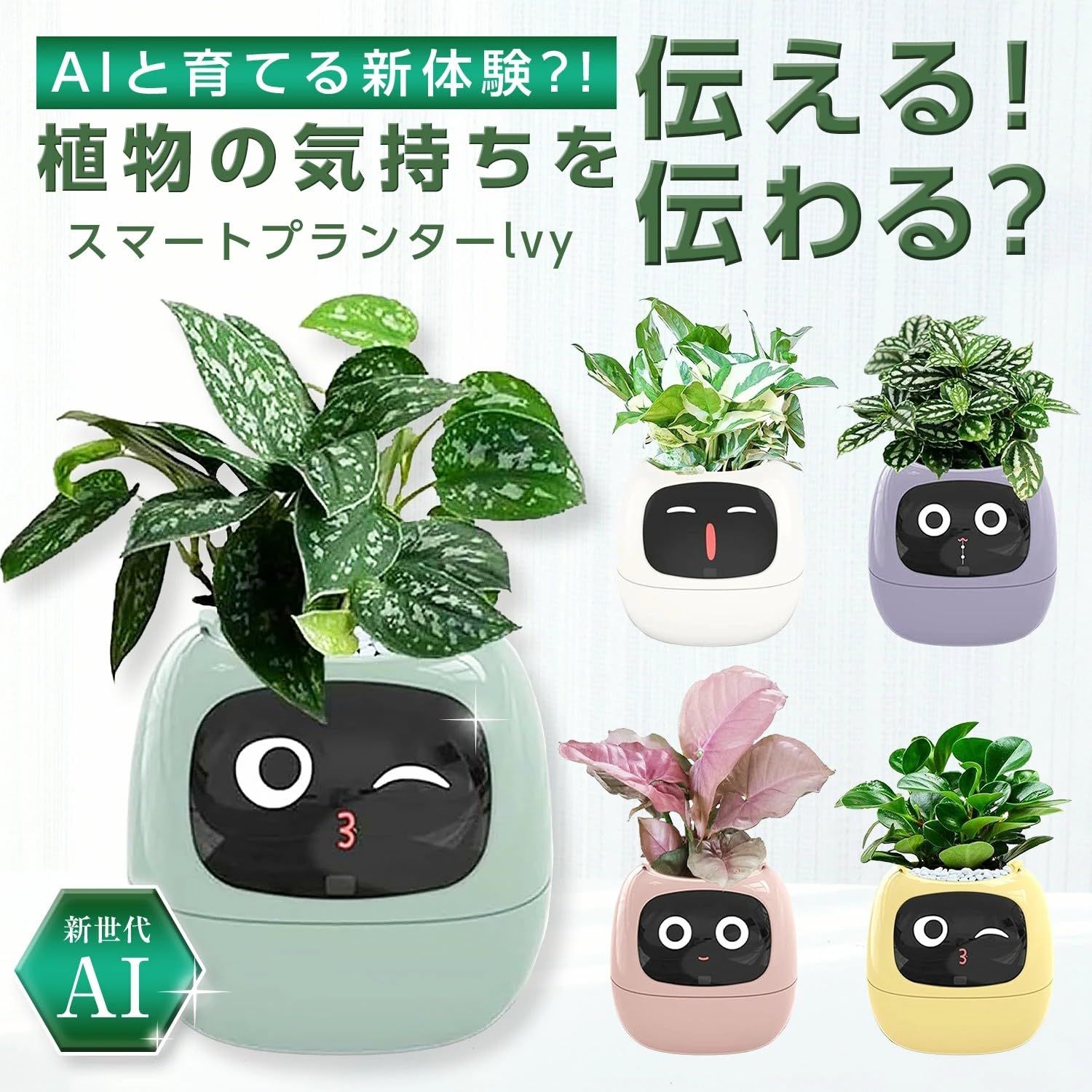 観葉植物セット　13点　一気にたくさん手に入る大チャンス！ 日本語取扱説明書【植物付属ありません】 贈り物 可愛いおしゃれ 小型