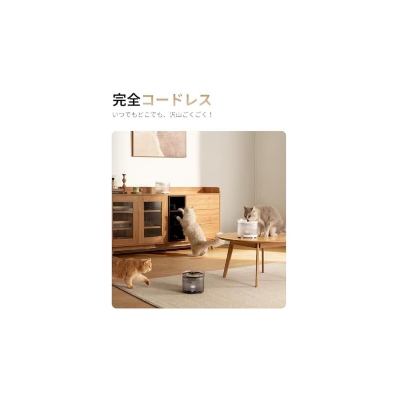 省エネルギー