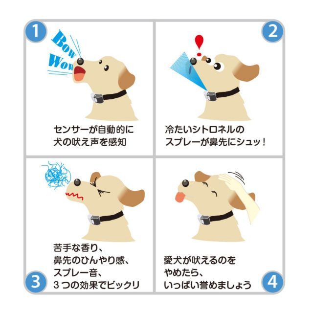 トレーニング におい