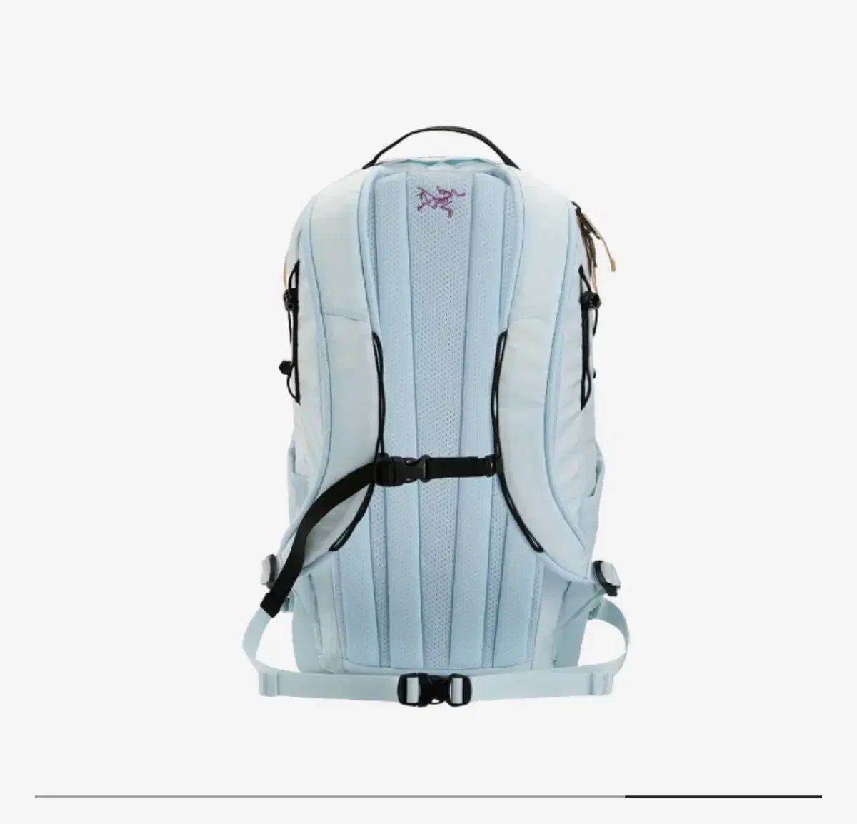 雷市場（ポンジャン）商品韓国直送】 ARC 