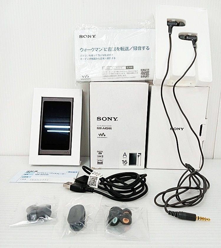 本日限定価格！SONY ウォークマン NW-A45 16GBグレイッシュブラック SONY ウォークマン NW-A45HN 16GB グレイッシュブラック 【MCK55