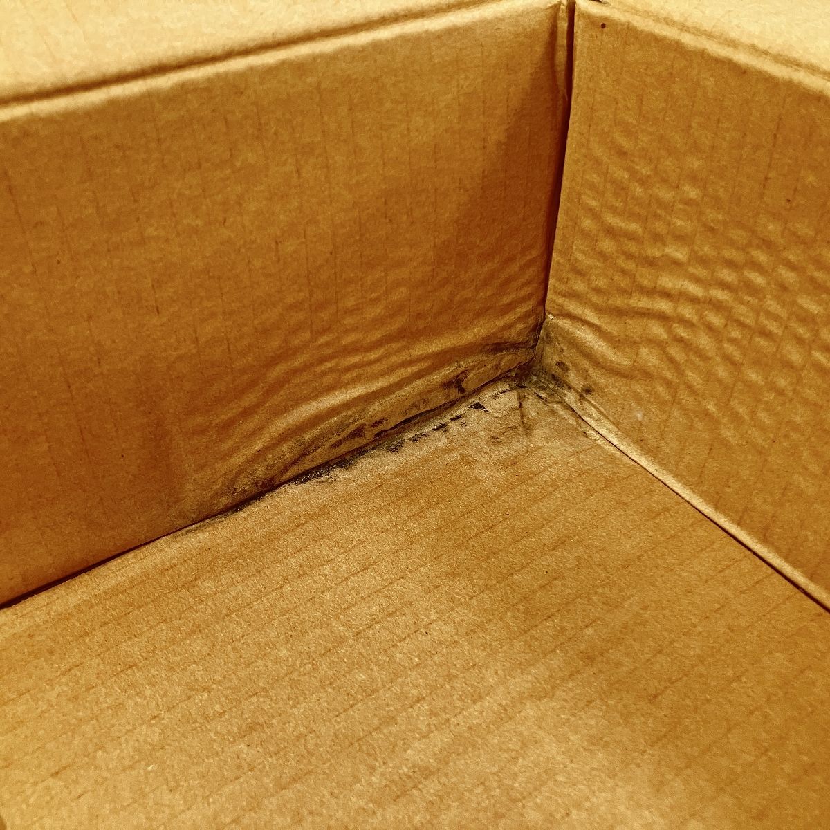 インテグレーテッド パワーアンプ