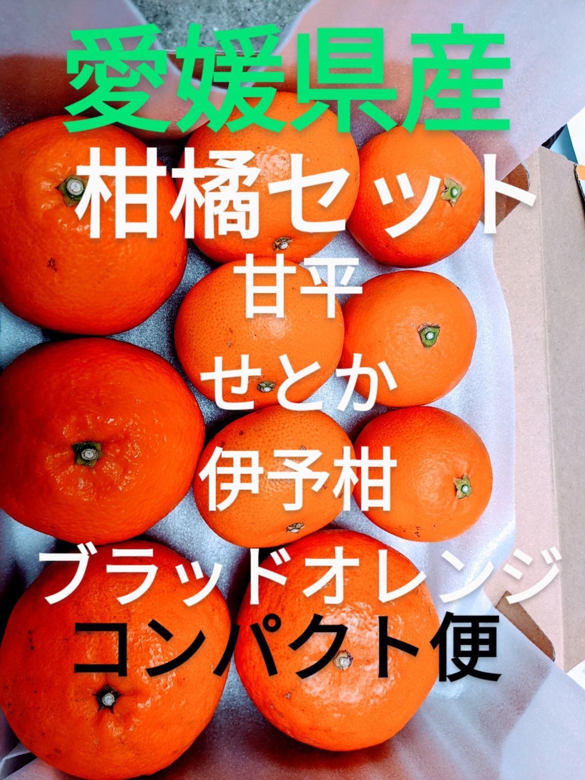 SALE／76%OFF】 愛媛県産 島育ち ハウスせとか 甘平 ブラッドオレンジ