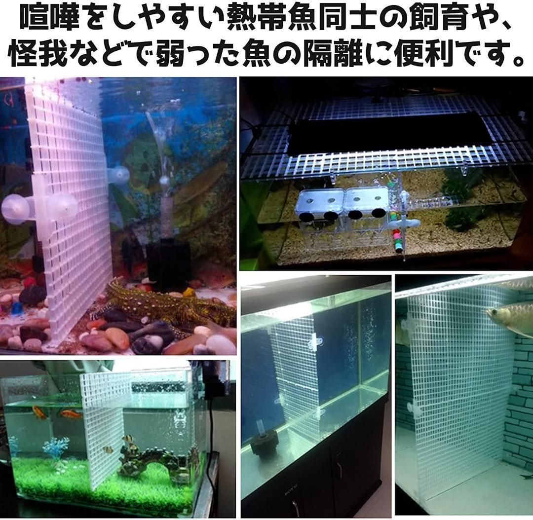 4枚セット 透明】水槽 仕切り 板 セパレーター フィルター 隔離板 熱帯魚 - メルカリ