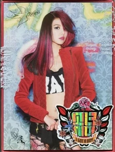 輸入洋楽CD 少女時代 購入 / I GOT A BOY(SooYoung Ver.)-KOREA 輸入洋楽CD 少女時代 購入 / I GOT A BOY(SooYoung Ver.)-KOREA