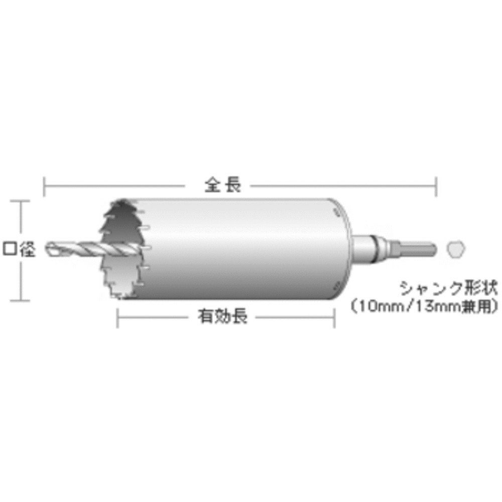 SDSシャンク