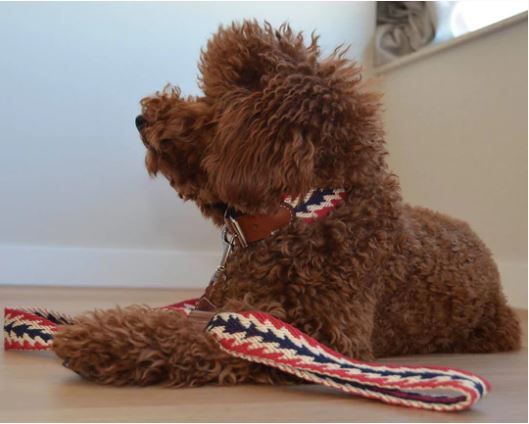 Peruvian Pikes スペイン製 高級犬用リード（最大２ｍ） Peruvian Pikes スペイン製 高級犬用リード（最大2m） Peruvian Red