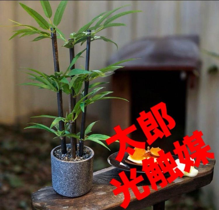 光触媒 人工観葉植物 ウォールグリーン フェイクグリーン フラワー