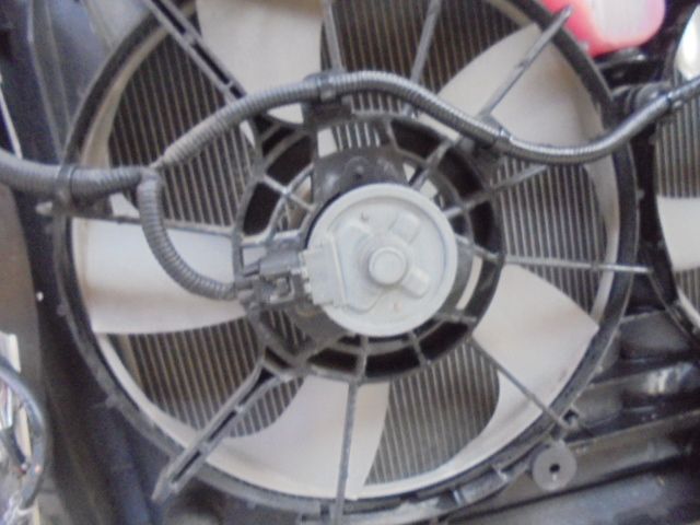 フロントコアサポートカット