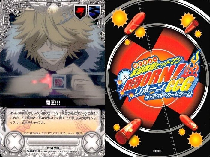 リボーン CCG まとめD 羽29 カード トレカ まとめ 家庭教師 ヒットマン リボーン CCG