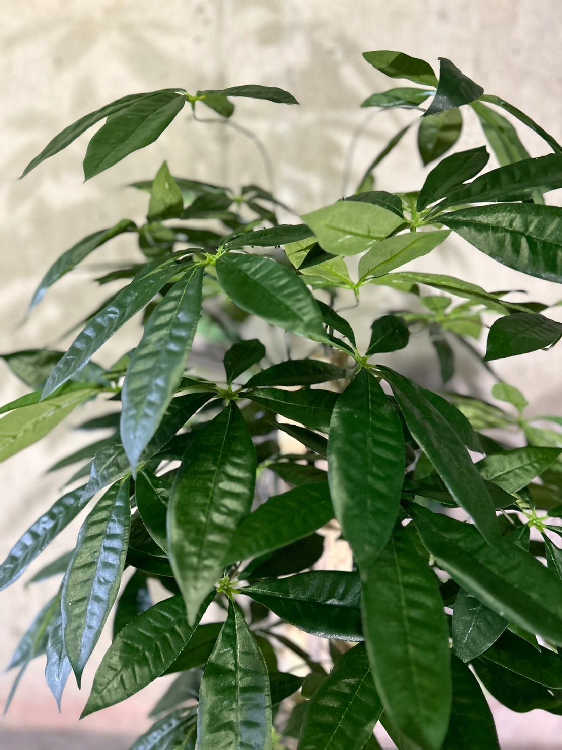 人工観葉・フェイクグリーン 光触媒 人工観葉植物 ウォールグリーン