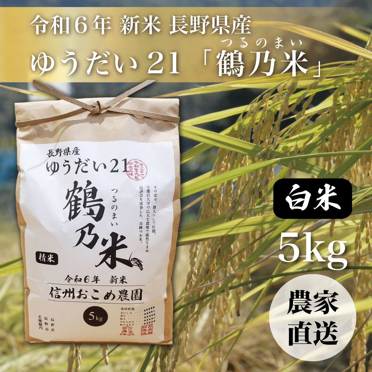 白米しゆ 白米 新米 ゆうだい21 ぜひお試しから