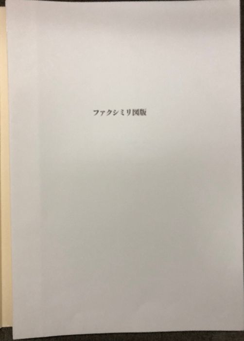 ラファエルロ素描集 ウフィツィ美術館 素描版画室蔵 図版揃い 岩波書店