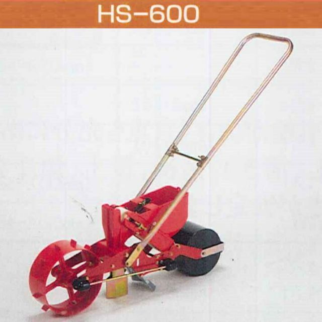 イチジク アゾレスダーク イラキ イエローロングネック BP 挿木