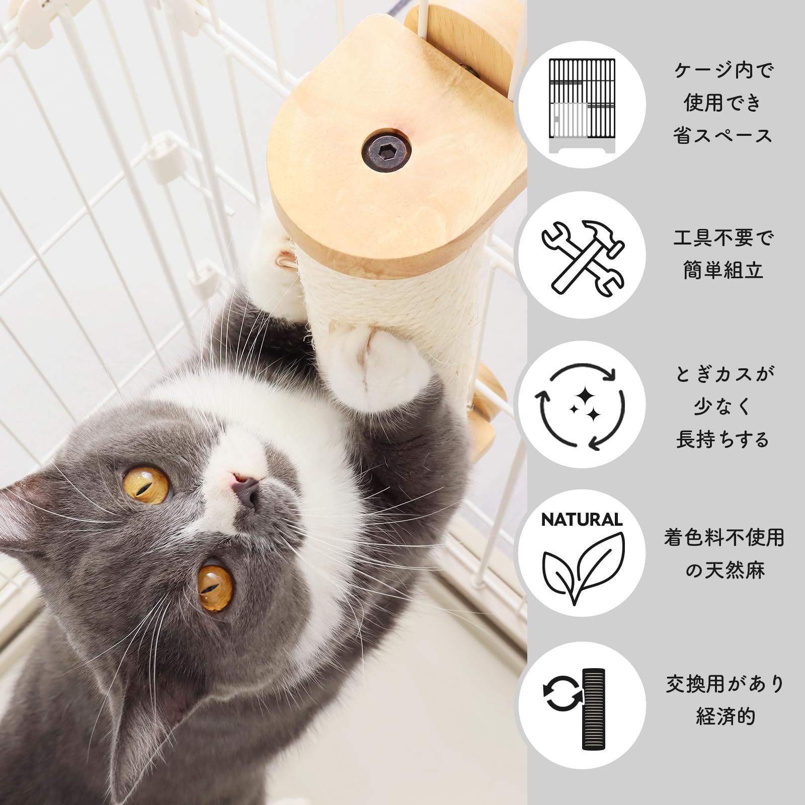 売切注意 お急ぎ下さい
