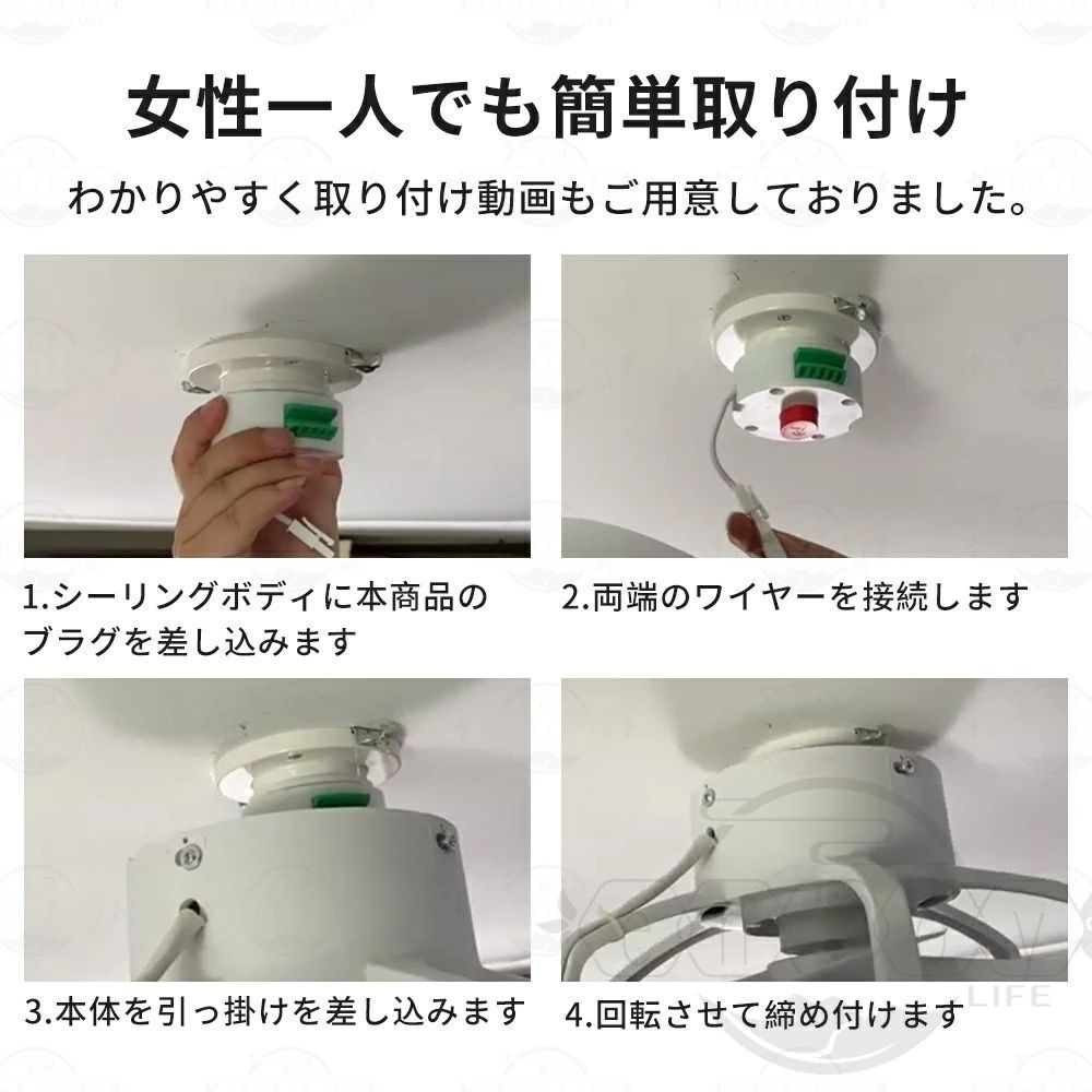 サーキュレーター