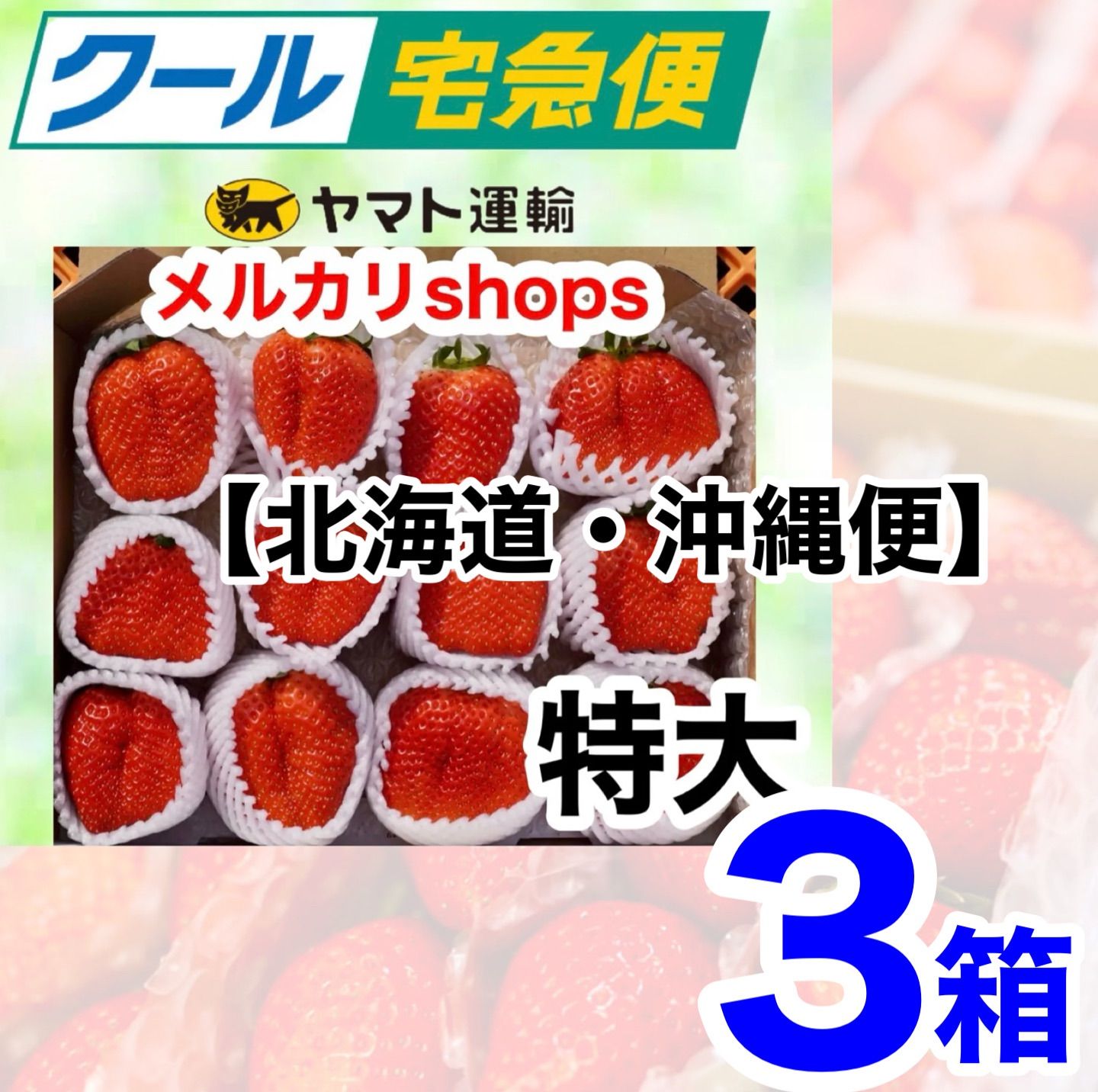 クール便」新鮮朝採り‼️かんちゃん農園の甘いいちご クール便」新鮮朝