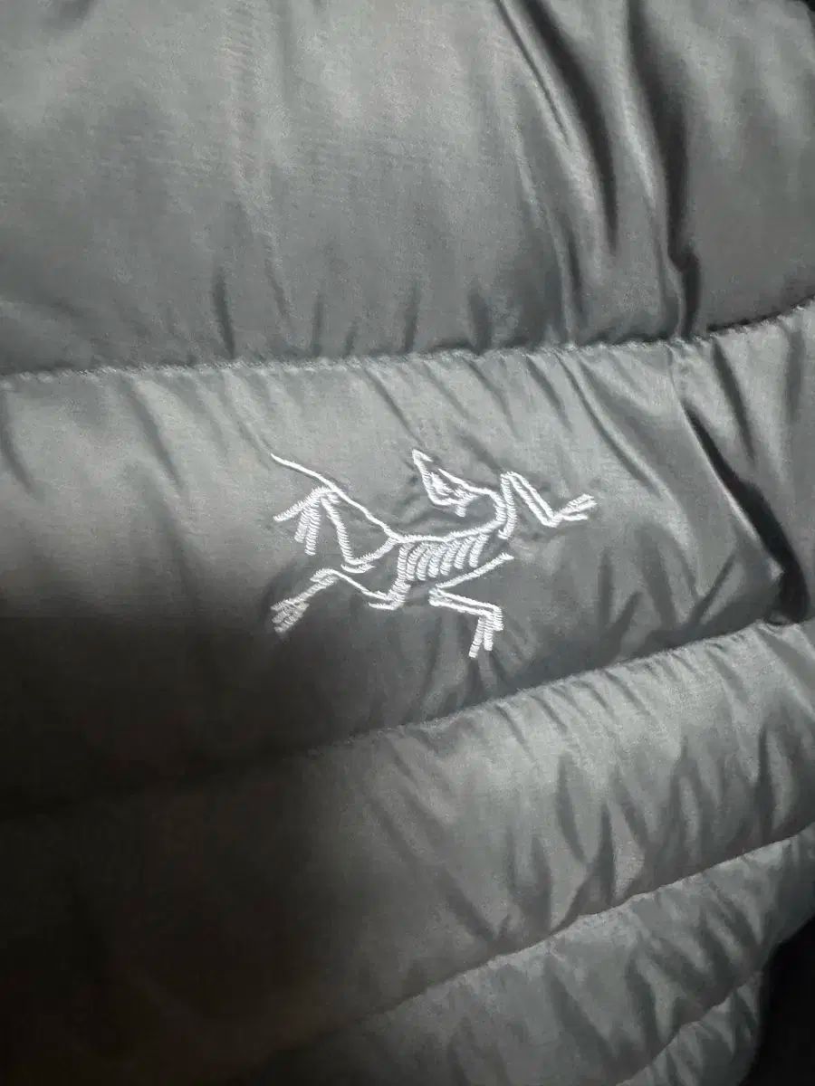 25 年 ARC TERYX アークテリクス ARC TERYX Cerium アークテリクス セリウム フーディー パーカー ブラック 新型 HRDEVELOPMENT_JP