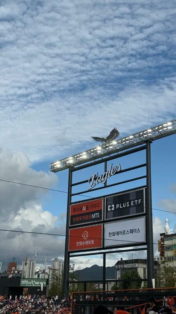 10 18 Hanwhae ハンファ SAMSUNG サムスン 外野 外野 指定席 指定席 4連席 4連席