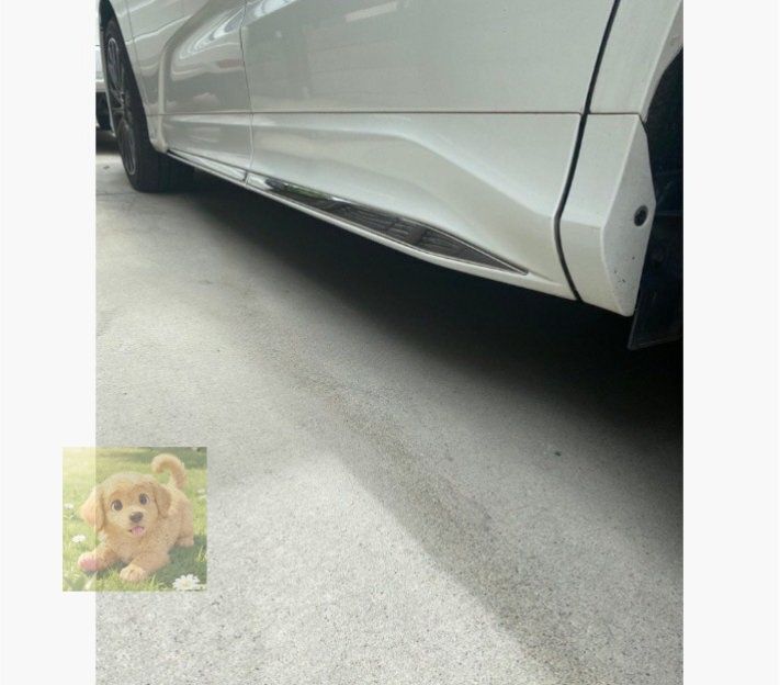 4p車外インテリア