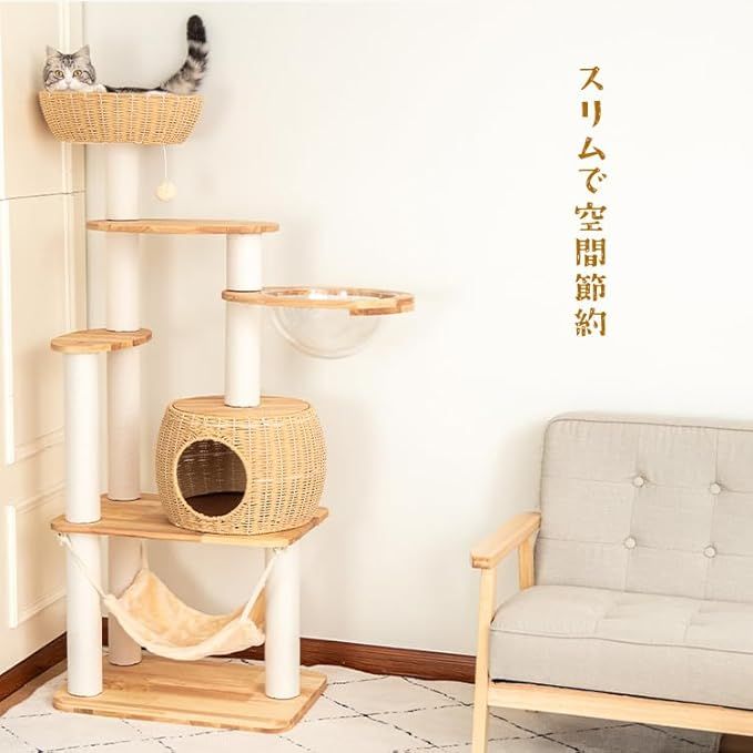 クリアボウル 中型猫