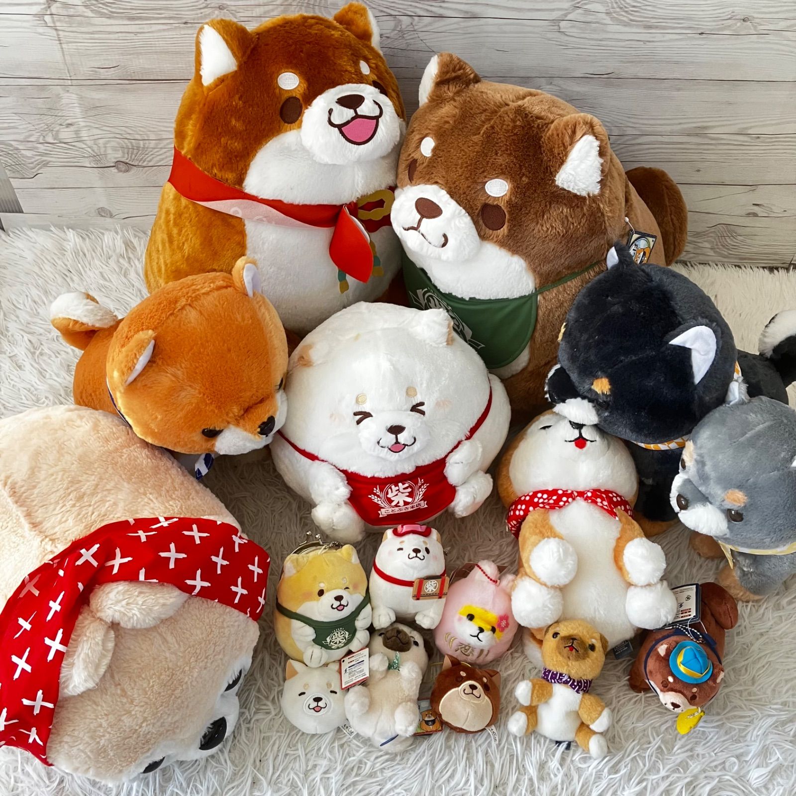 忠犬もちしば 豆しば三兄弟 ぬいぐるみ 大量まとめ売り タグあり多数 