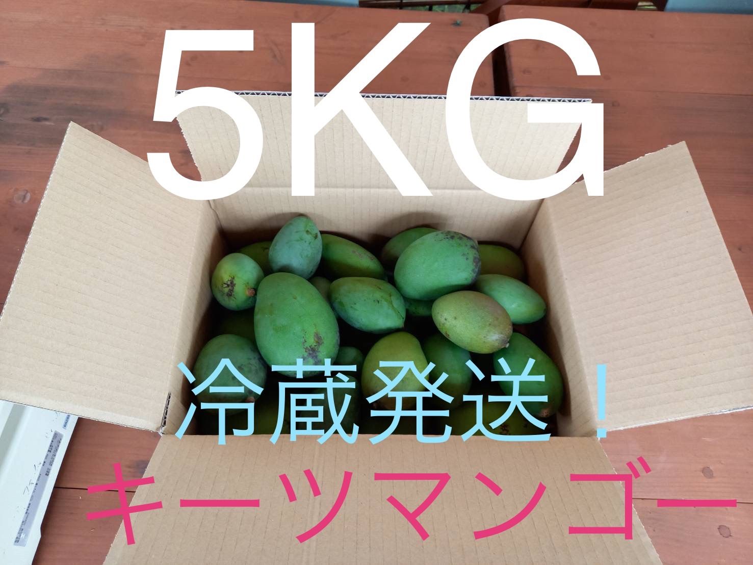 東京通販沖縄県産 青マンゴー　箱込み5キロ 果物