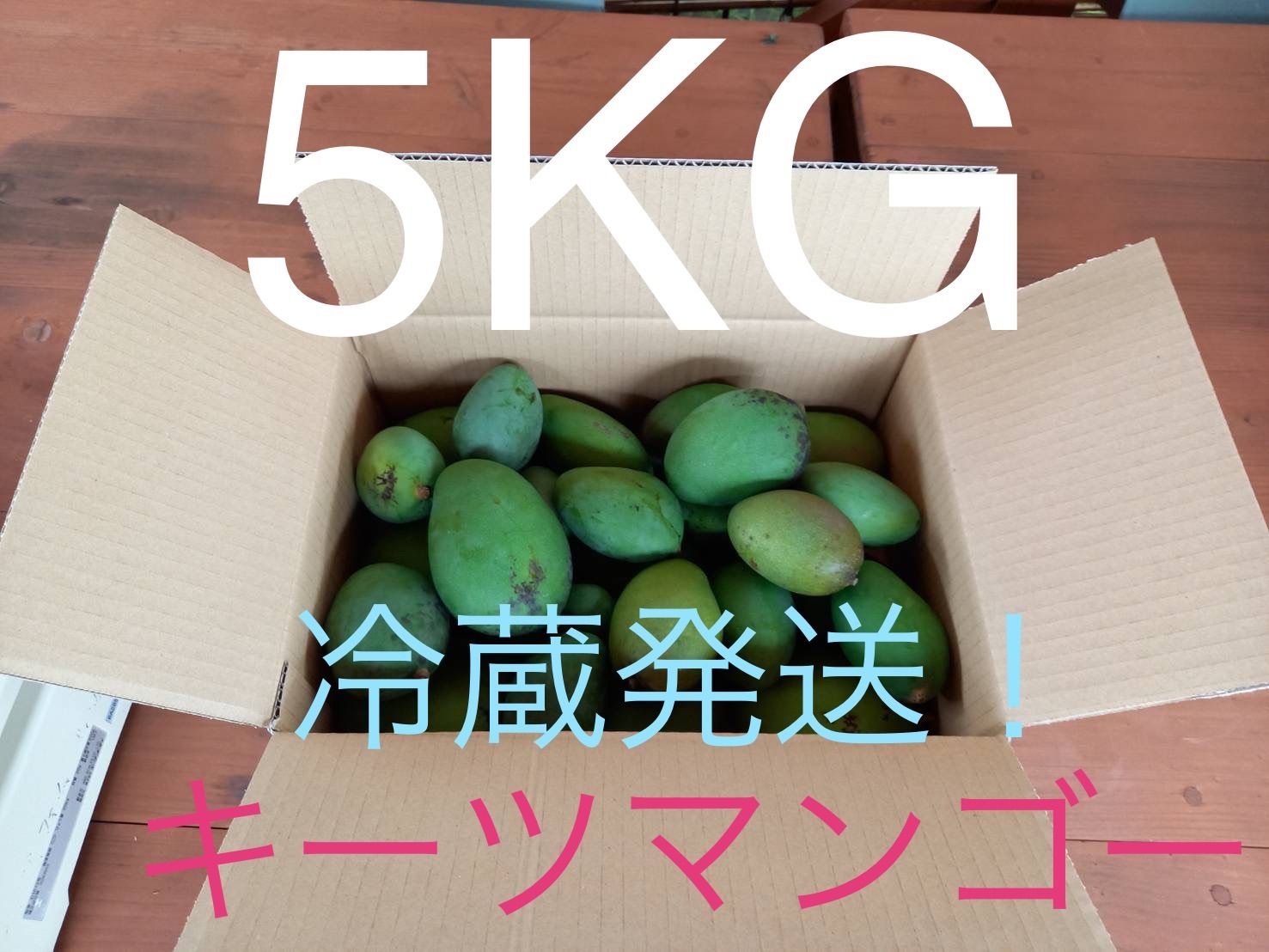 宮古島産摘果マンゴー ②（グリーンマンゴー）15kg 100-380g
