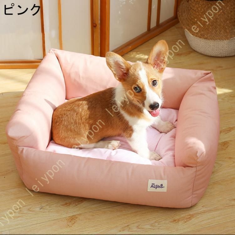 小型犬 超小型犬