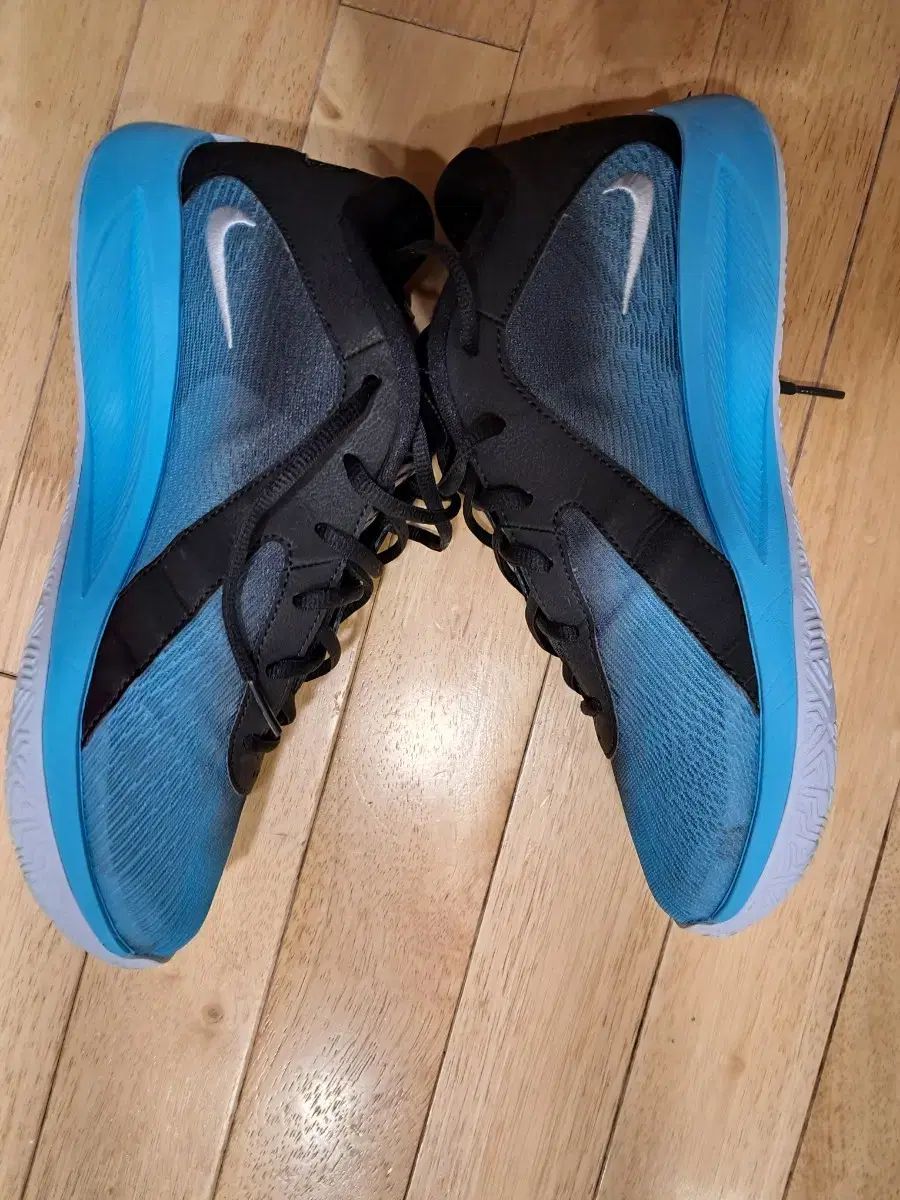 Zoomfrik 6