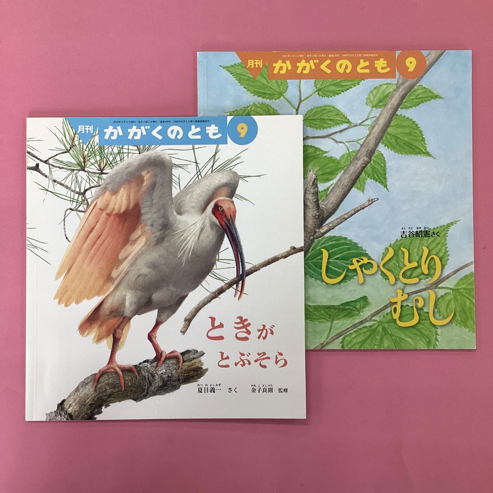 かがくのとも ２冊セット - 絵本・児童書