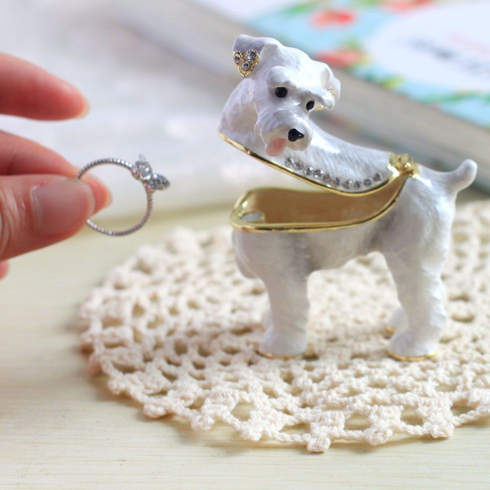 384-1【正規品】ミニチュアシュナウザー 犬 ジュエリーボックス
