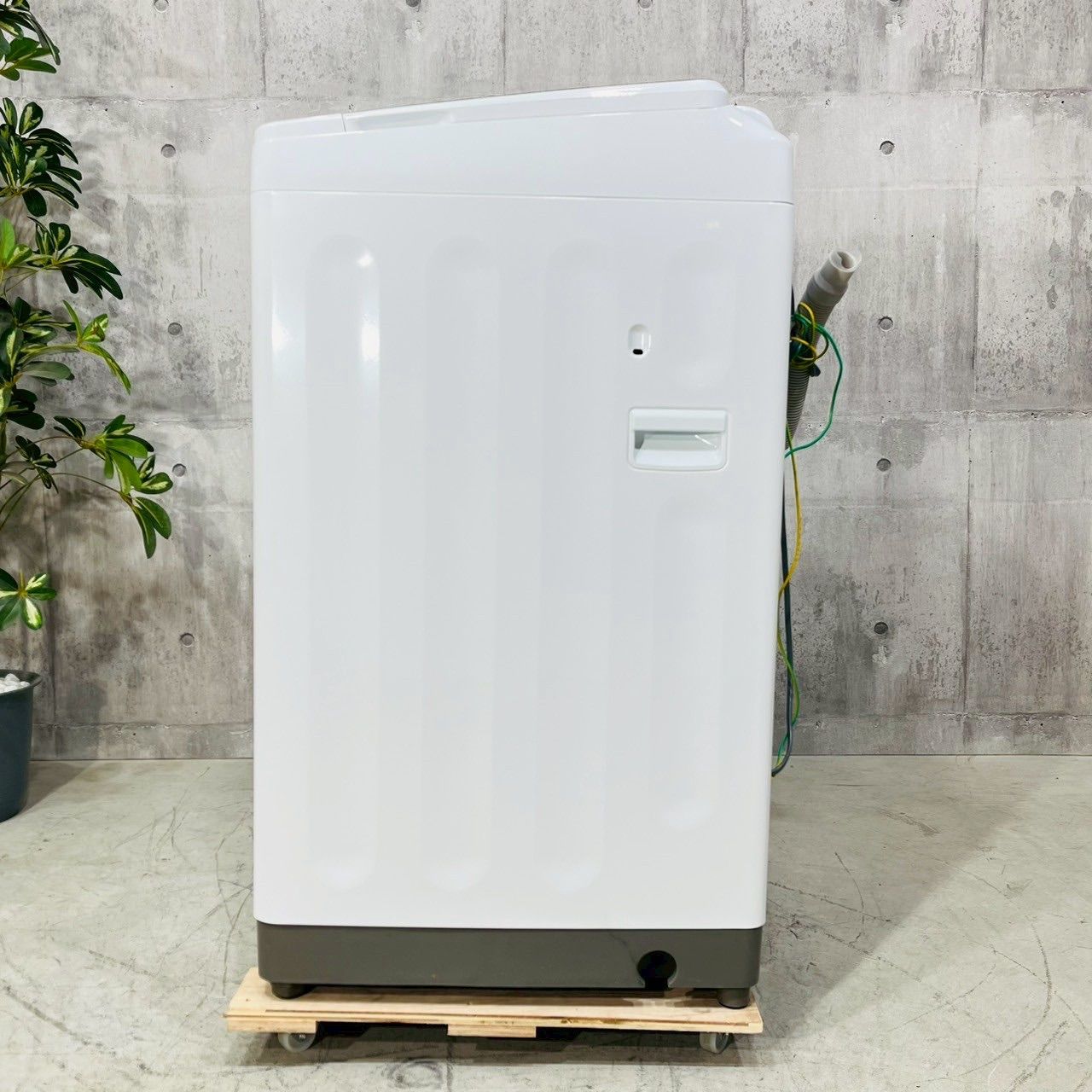 8.5kg 10