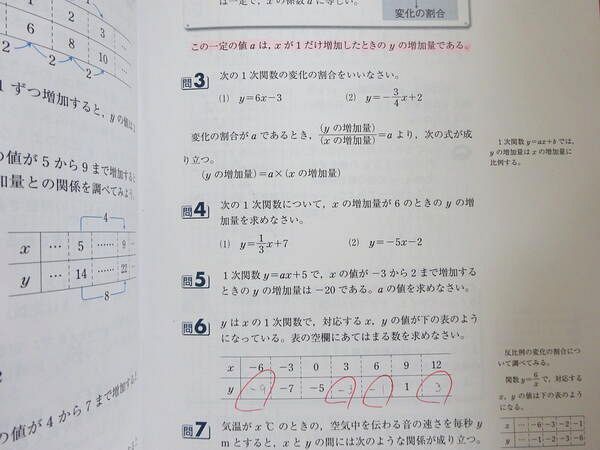 精解 中学数学 代数編 上下セット（精解中学数学問題集［代数編