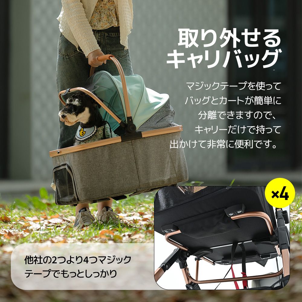 動物