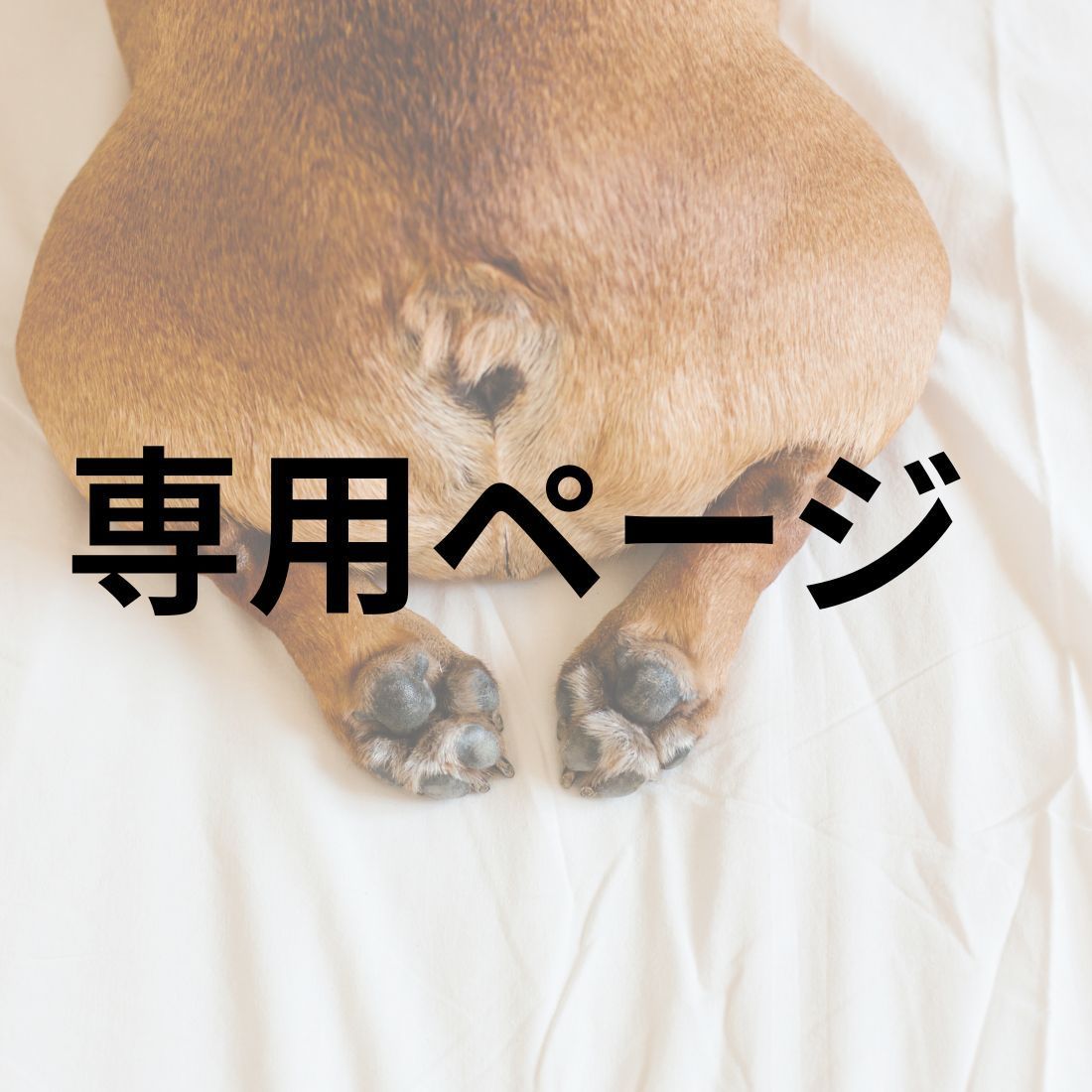 takechan専用 【公式通販】