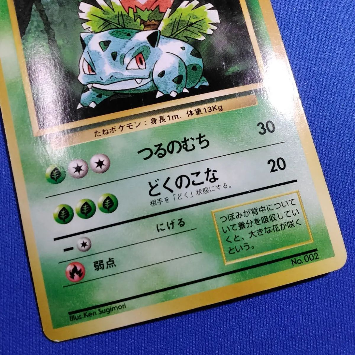 ポケモンカードゲーム 【旧裏面 初版(マーク無し)】 No.002 フシギソウ
