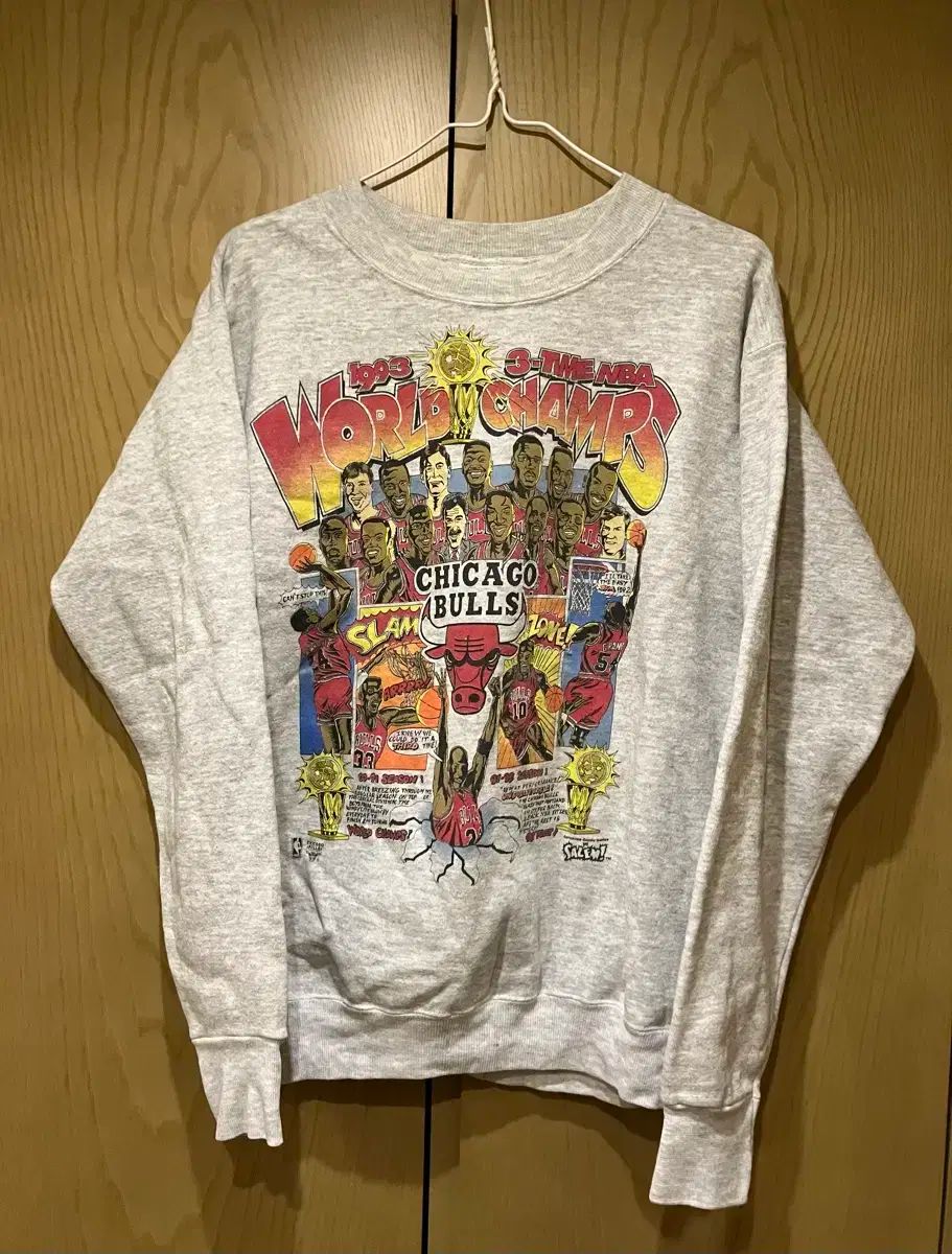 SALEM社製 Lサイズ 1991年シカゴブルズNBAチャンピオン記念Tシャツ
