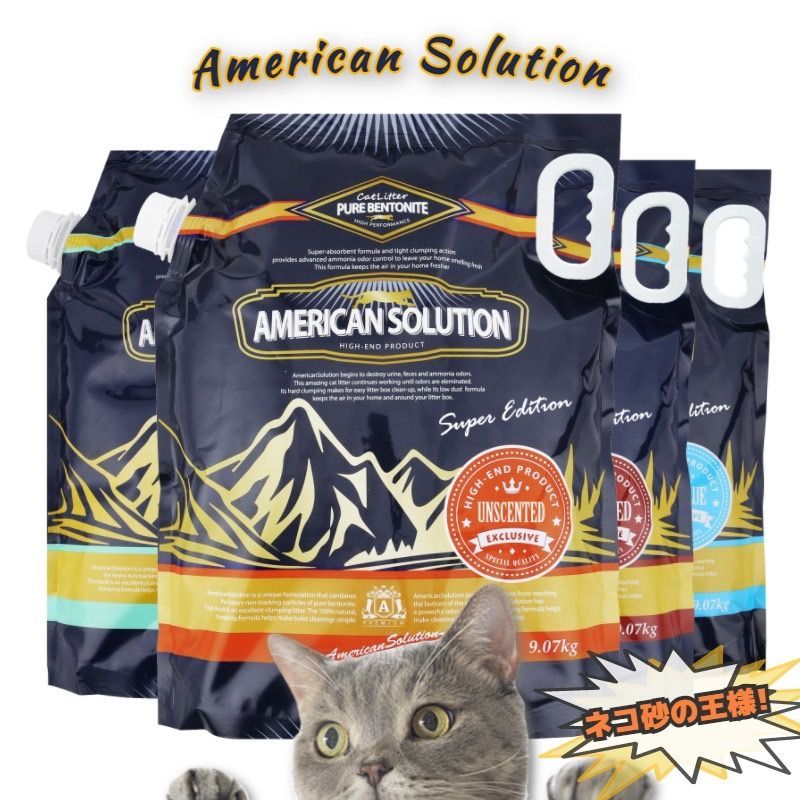 桜井一良作 椿蒔絵 平棗 金梨子地 金蒔絵 茶道具 共箱共布 M347 TC1