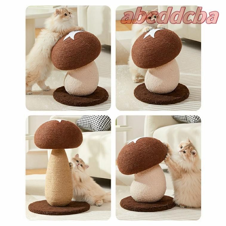 爪研ぎボール 遊び